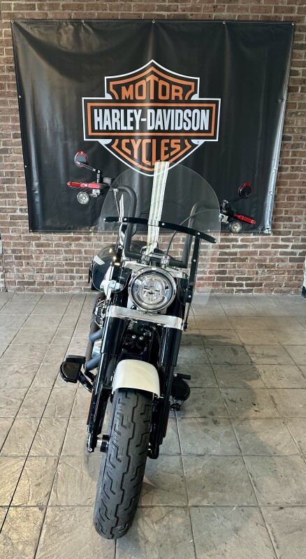 2019 Harley-Davidson Softail Slim FLSL Bonneville Salt Denim - Photo 4