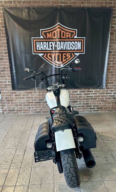 2019 Harley-Davidson Softail Slim FLSL Bonneville Salt Denim - Photo 6