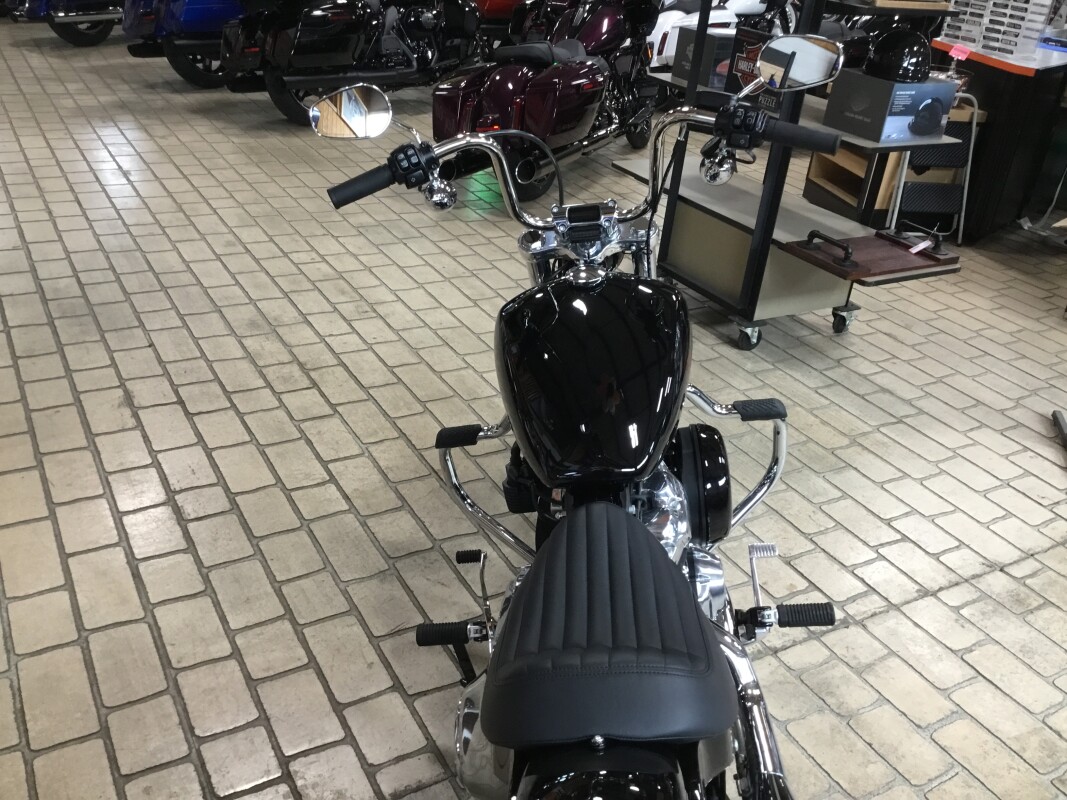 2024 Harley-Davidson Softail Standard Vivid Black - Photo 6