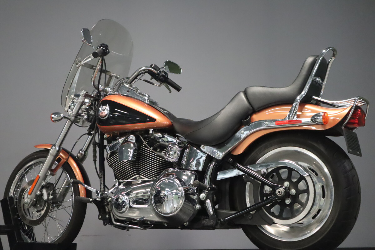 2008 Harley-Davidson Softail Custom FXSTC - Photo 6
