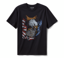MEN'S STARS & STRIPES EAGLE TEE