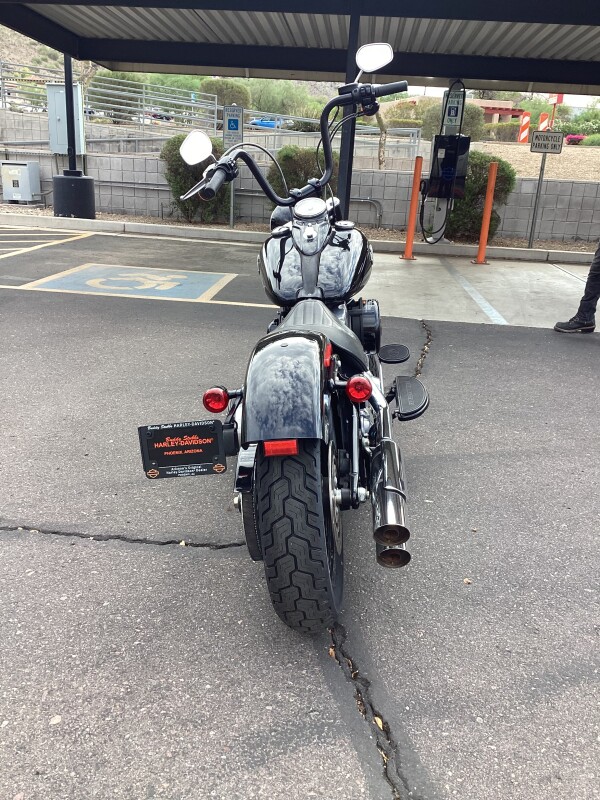 FLS 2015 Softail Slim - Photo 3