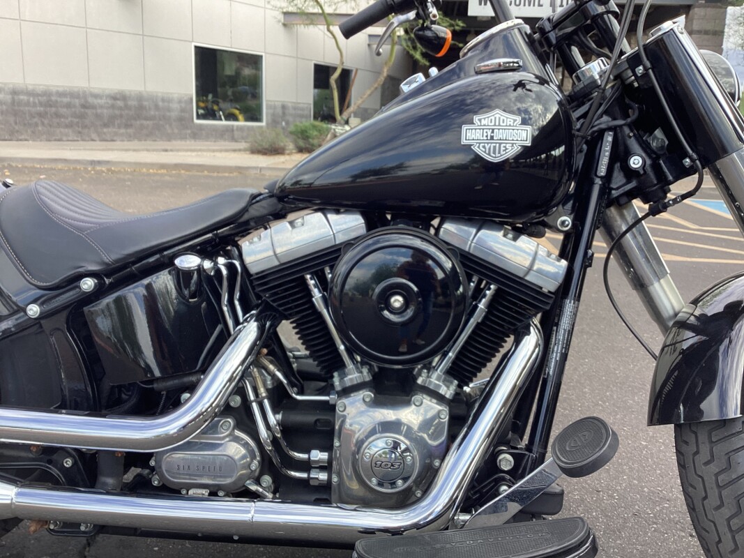 FLS 2015 Softail Slim - Photo 2