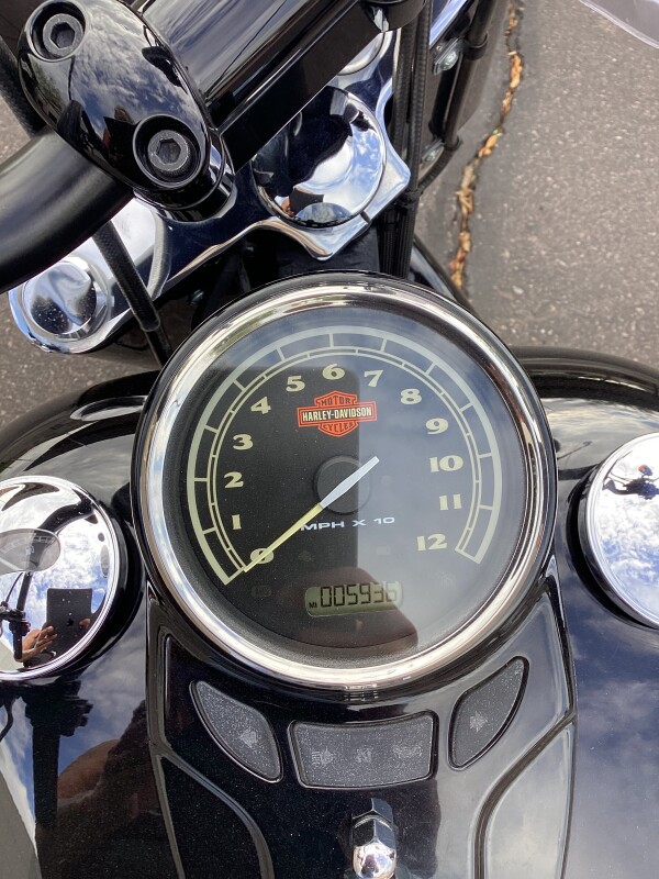 FLS 2015 Softail Slim - Photo 7