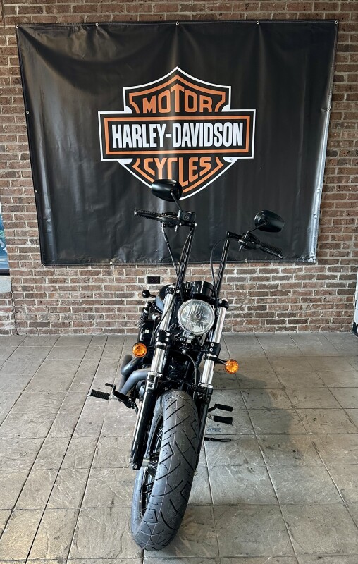 2016 Harley-Davidson Forty-Eight XL 1200X Vivid Black - Photo 4
