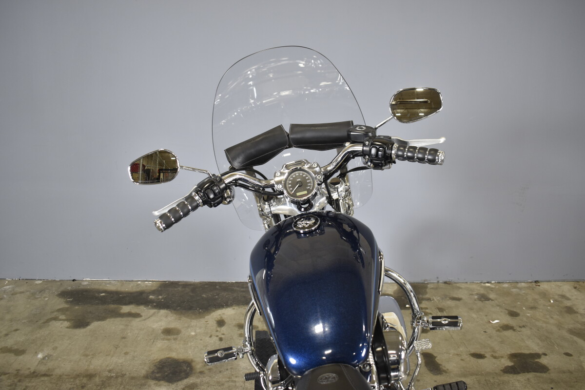 2013 Harley-Davidson 1200 Custom XL1200C - Photo 8