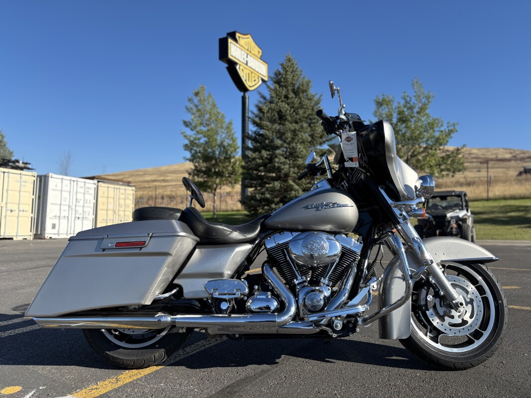 2009 Harley-Davidson Street Glide Pewter Pearl