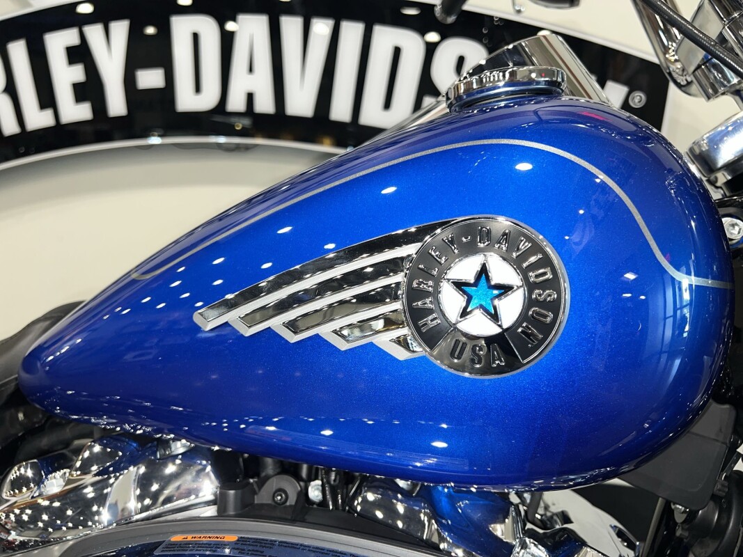 2025 Harley-Davidson Fat Boy FLFB - Photo 5