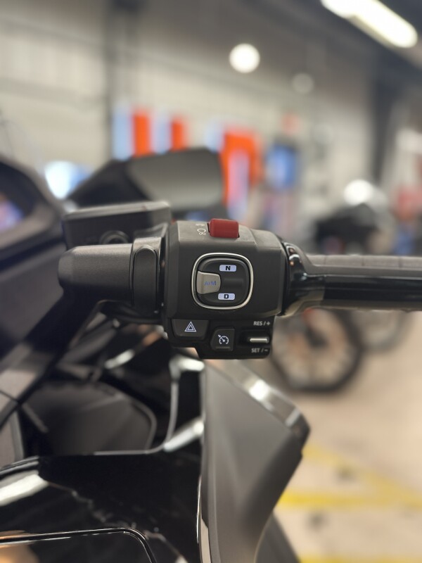 2024 Honda Gold Wing Tour Automatic DCT Grey Metallic/Black - Photo 9