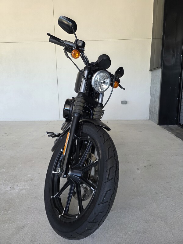 2021 Harley-Davidson Iron 883 - Photo 8