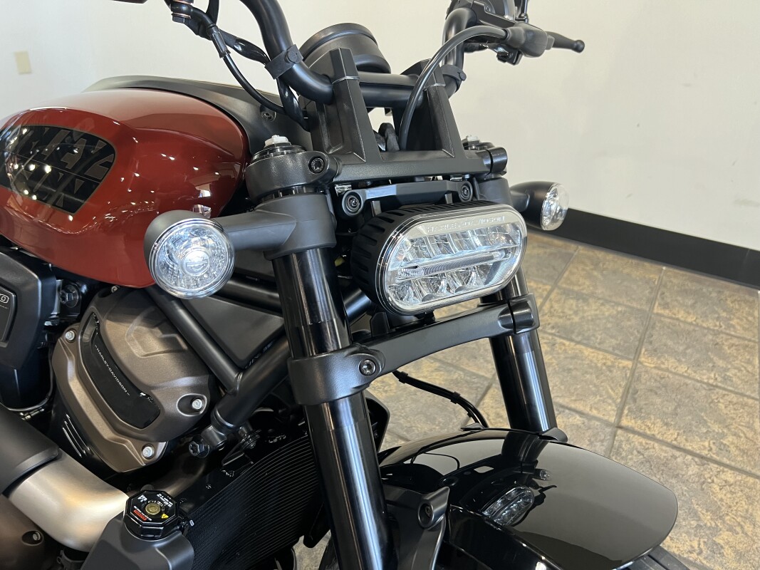 RH1250S 2024 Sportster S - Photo 4