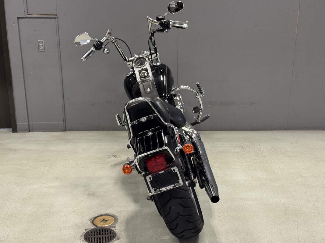 FXSTC 2009 Softail Custom - Photo 10