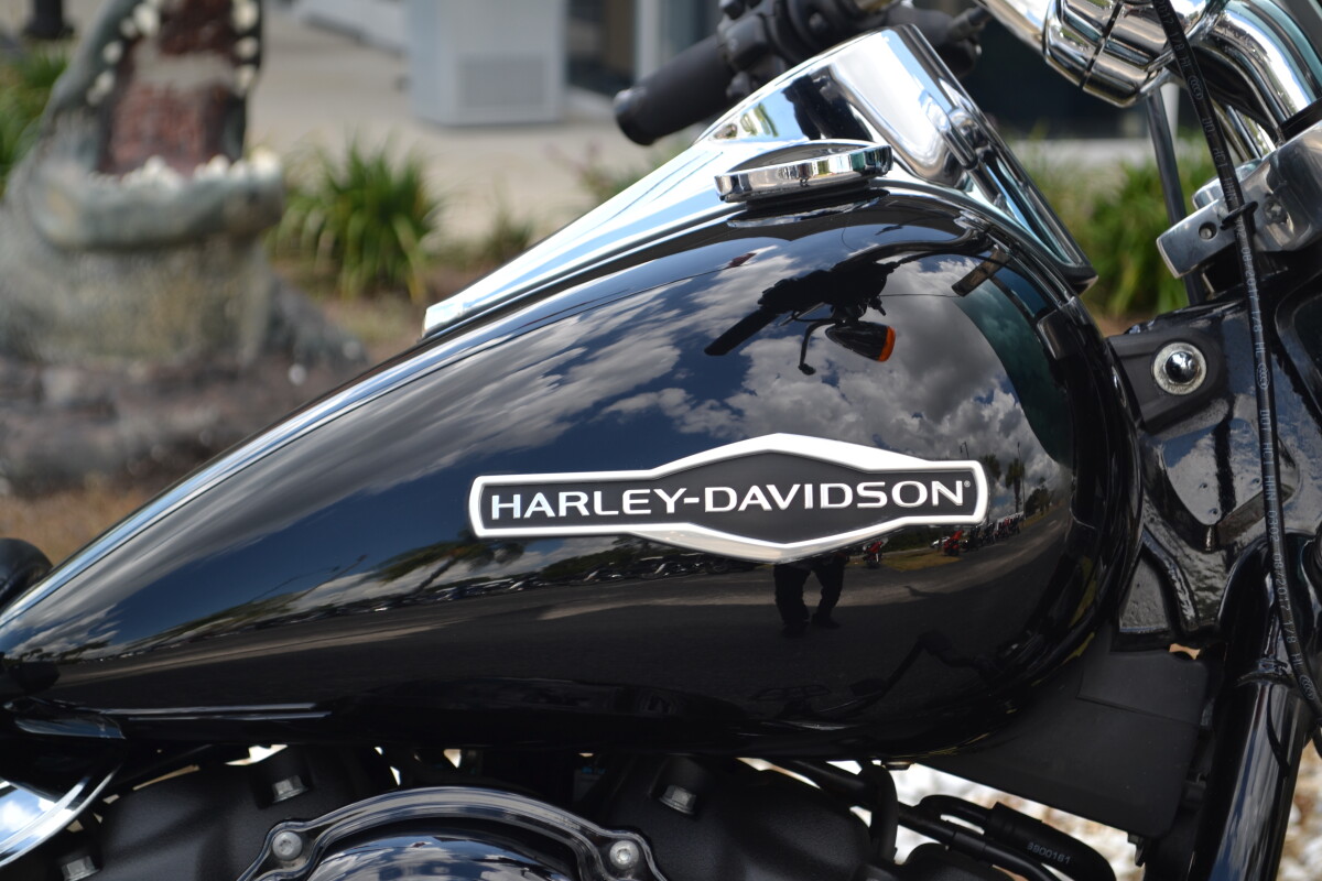 2018 Harley-Davidson Sport Glide - FLSB - Photo 2
