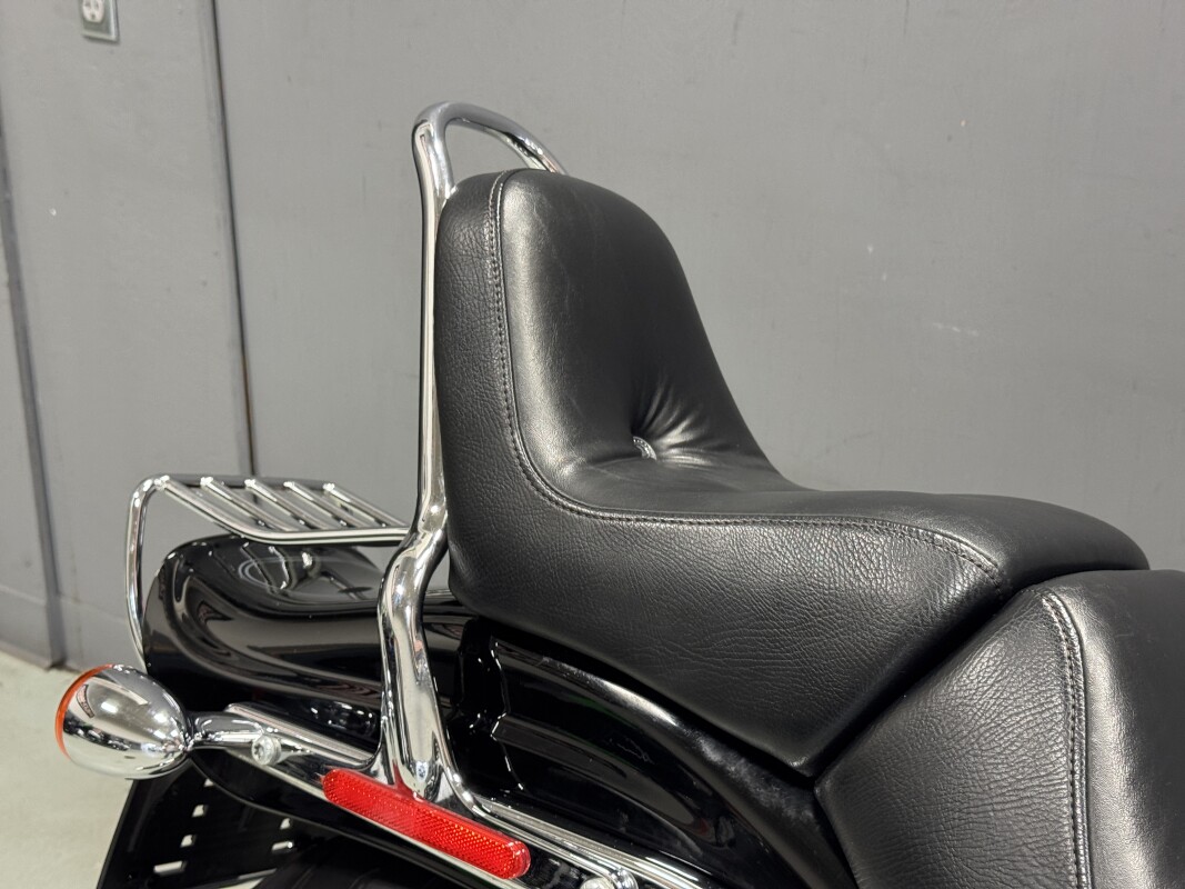 FXSTC 2009 Softail Custom - Photo 8