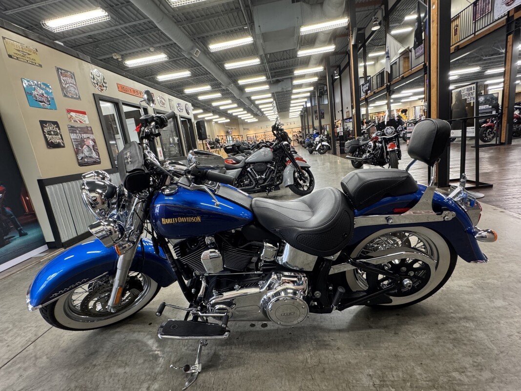 2017 Harley-Davidson Softail Deluxe FLSTN - Photo 10