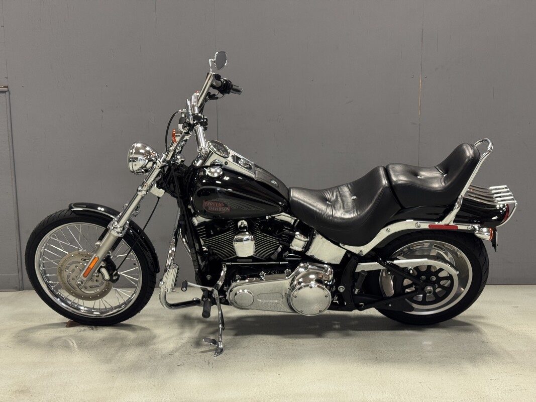 FXSTC 2009 Softail Custom - Photo 2