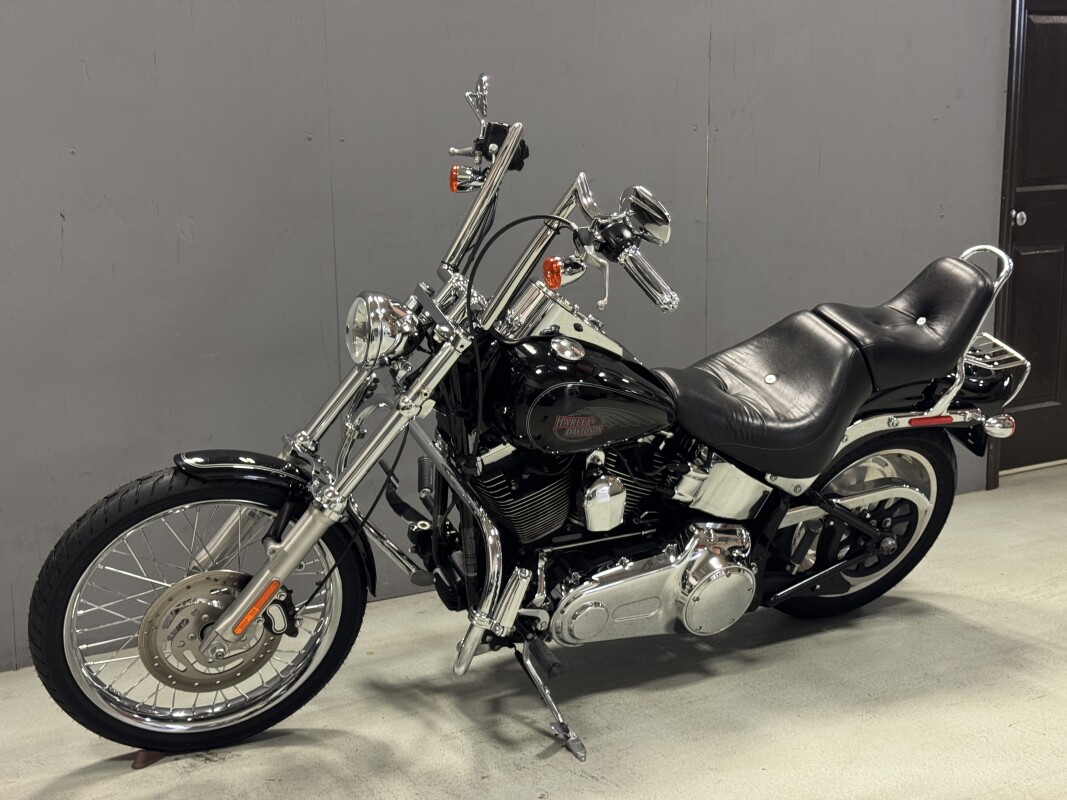 FXSTC 2009 Softail Custom - Photo 4