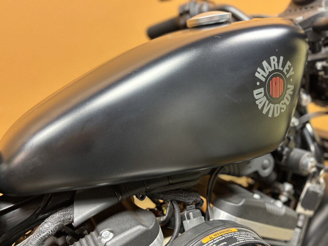 XL 883N 2021 Iron 883 - Photo 5