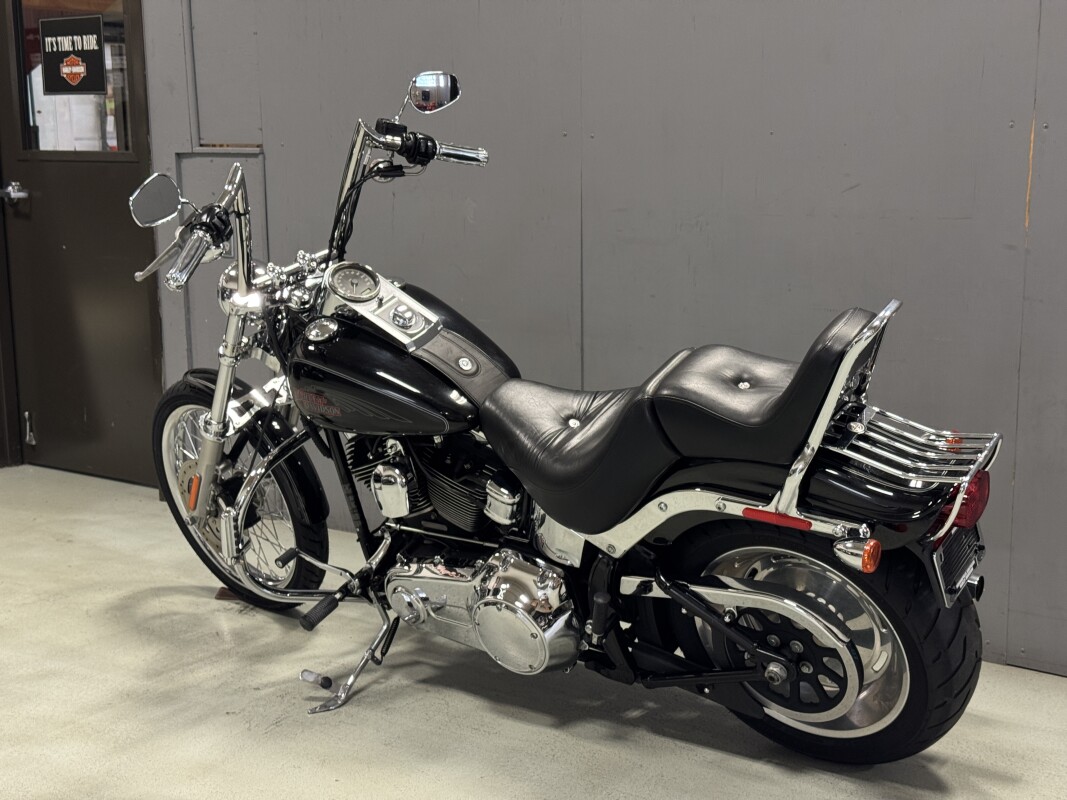 FXSTC 2009 Softail Custom - Photo 6