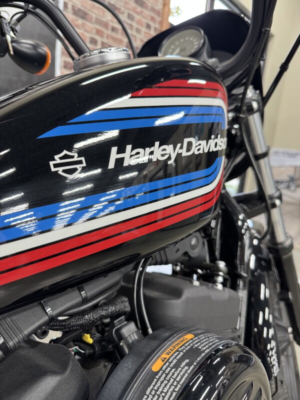 2020 Harley-Davidson Iron 1200 XL 1200NS - Photo 3