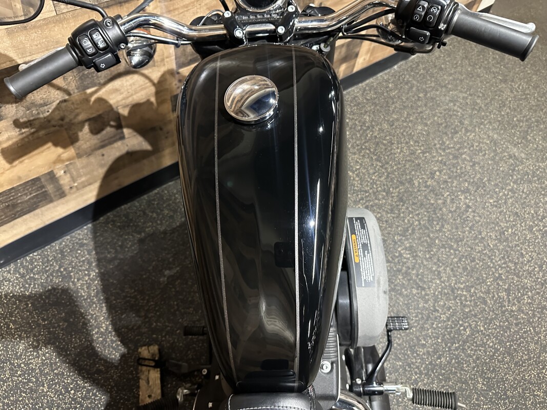 2016 Harley-Davidson Roadster Vivid Black & Charcoal Denim Pinstripe XL1200CX - Photo 6