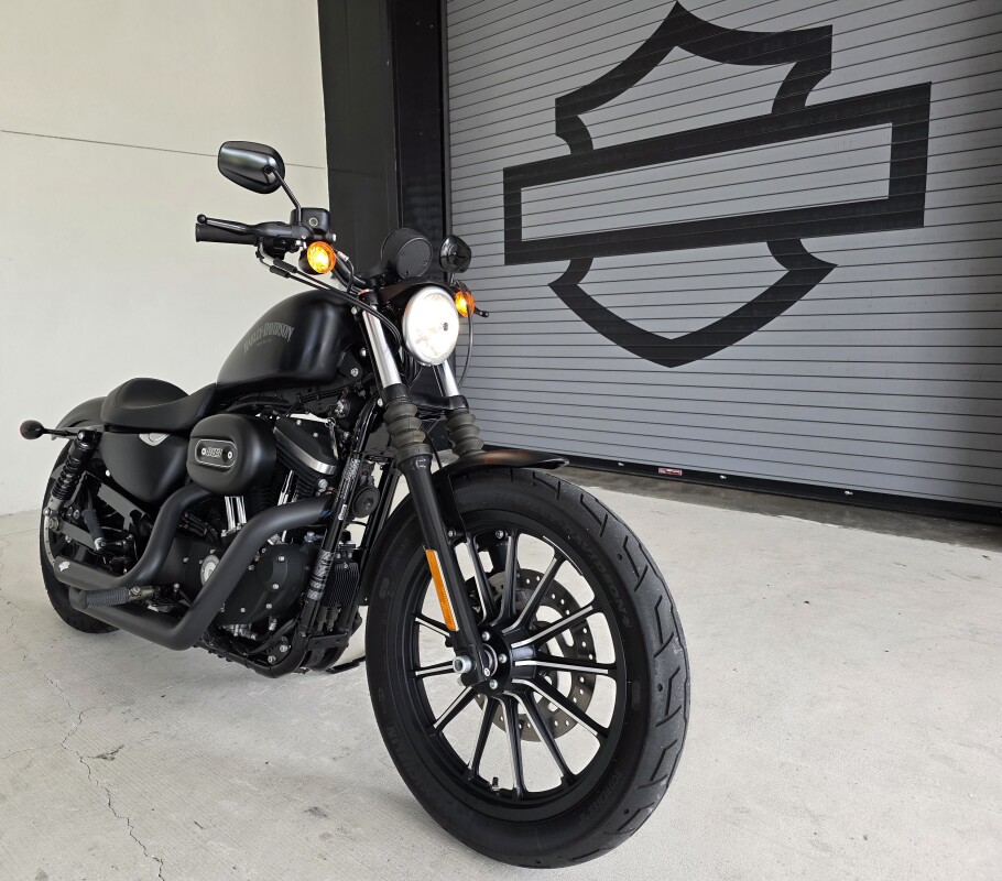 2015 Harley-Davidson Iron 883 - Photo 2