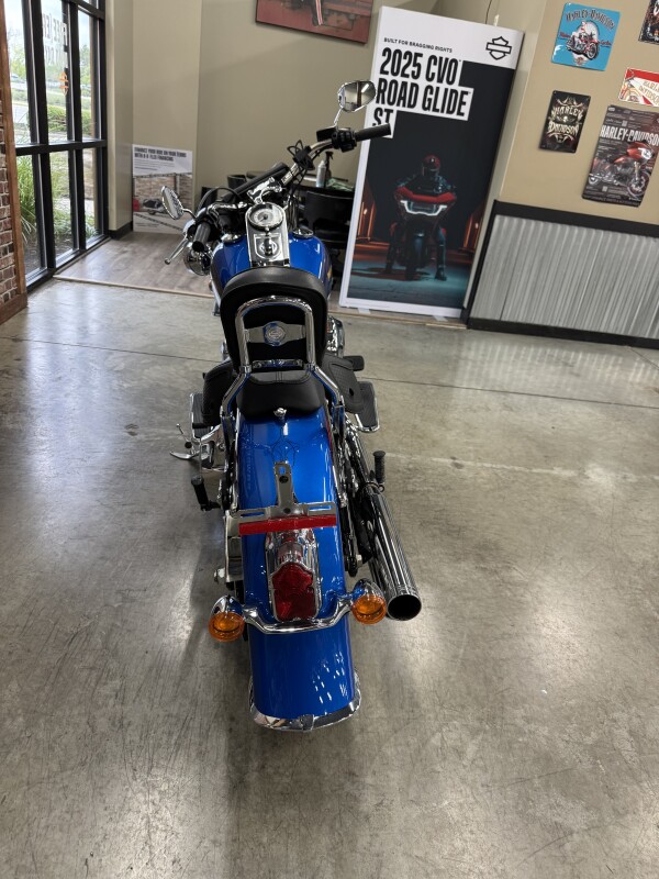 2017 Harley-Davidson Softail Deluxe FLSTN - Photo 8