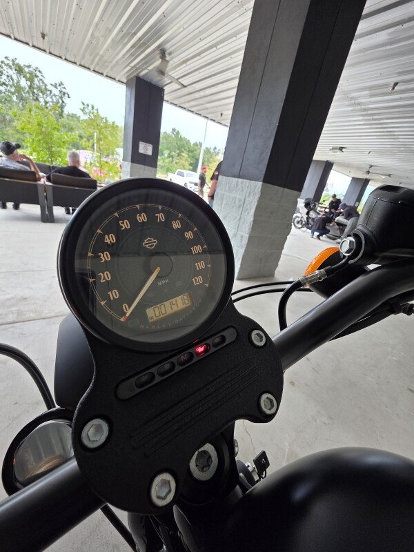 2015 Harley-Davidson Iron 883 - Photo 9