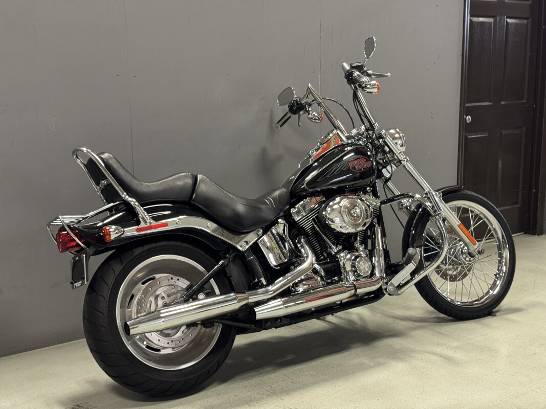 FXSTC 2009 Softail Custom - Photo 5