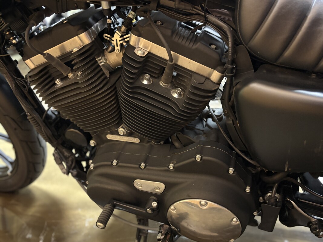 XL 883N 2021 Iron 883 - Photo 9