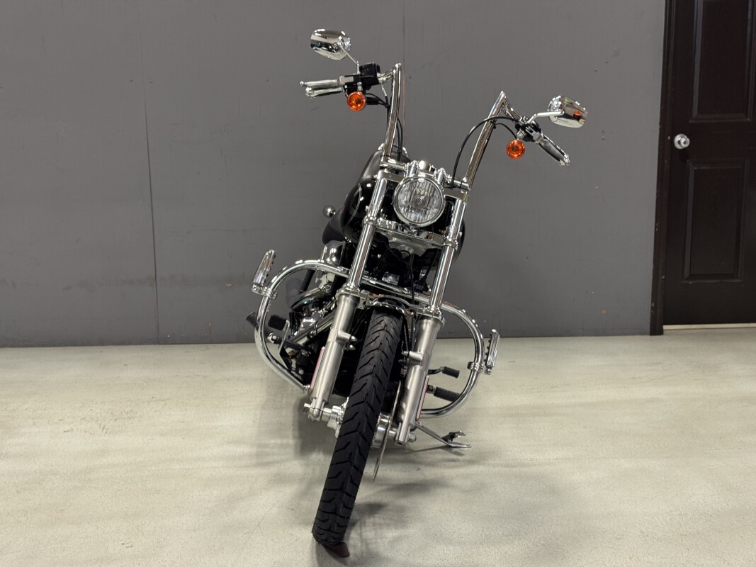 FXSTC 2009 Softail Custom - Photo 9