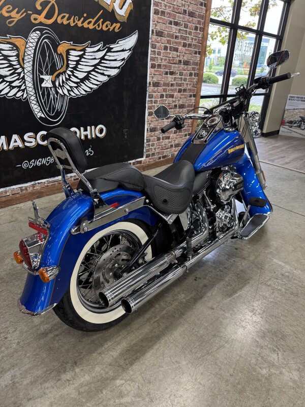 2017 Harley-Davidson Softail Deluxe FLSTN - Photo 7