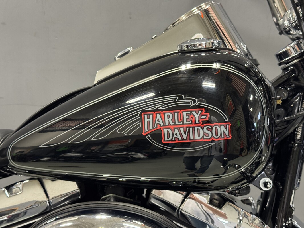 FXSTC 2009 Softail Custom - Photo 7