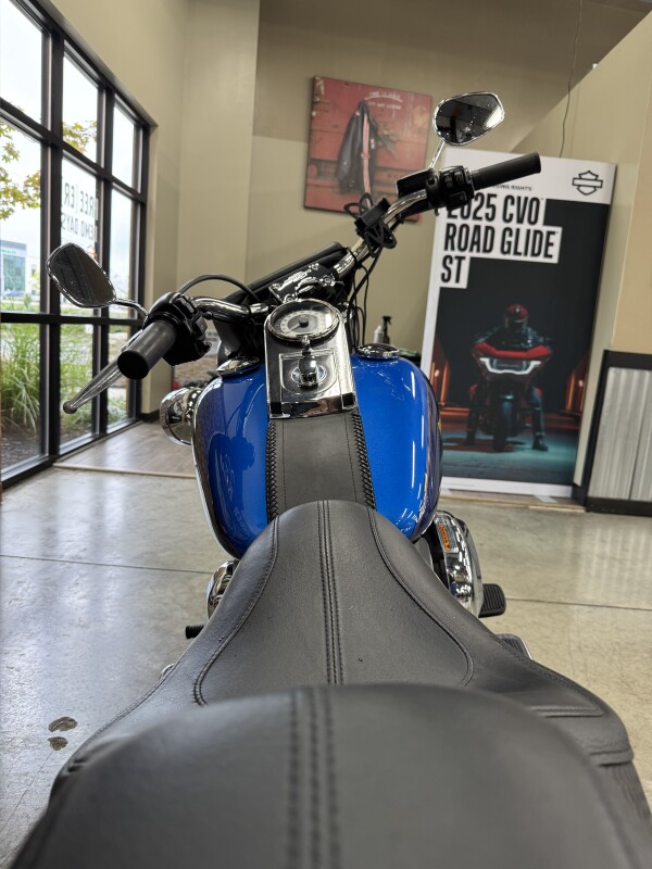 2017 Harley-Davidson Softail Deluxe FLSTN - Photo 4