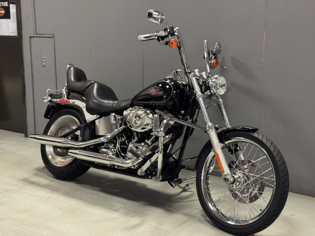FXSTC 2009 Softail Custom - Photo 3