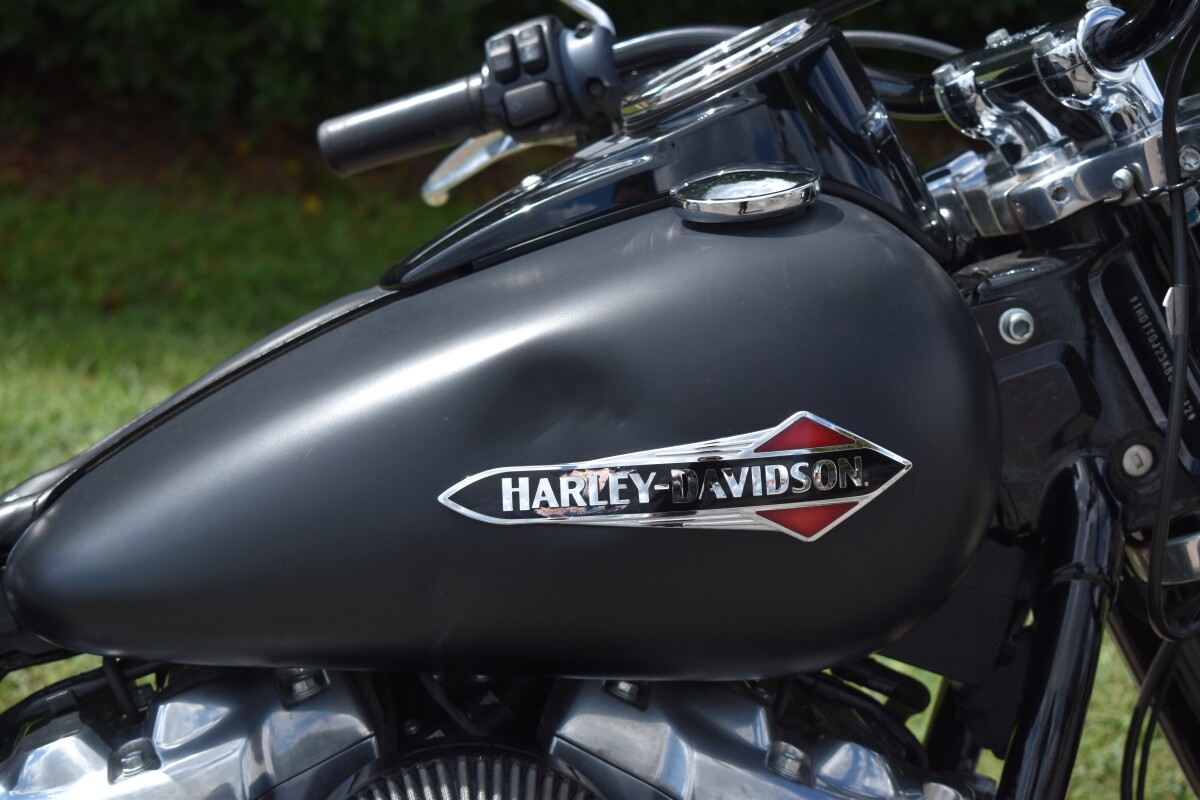 2019 Harley-Davidson Softail Slim - Photo 10