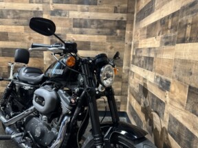 2016 Harley-Davidson® Roadster™ Vivid Black & Charcoal Denim Pinstripe XL1200CX thumb 0