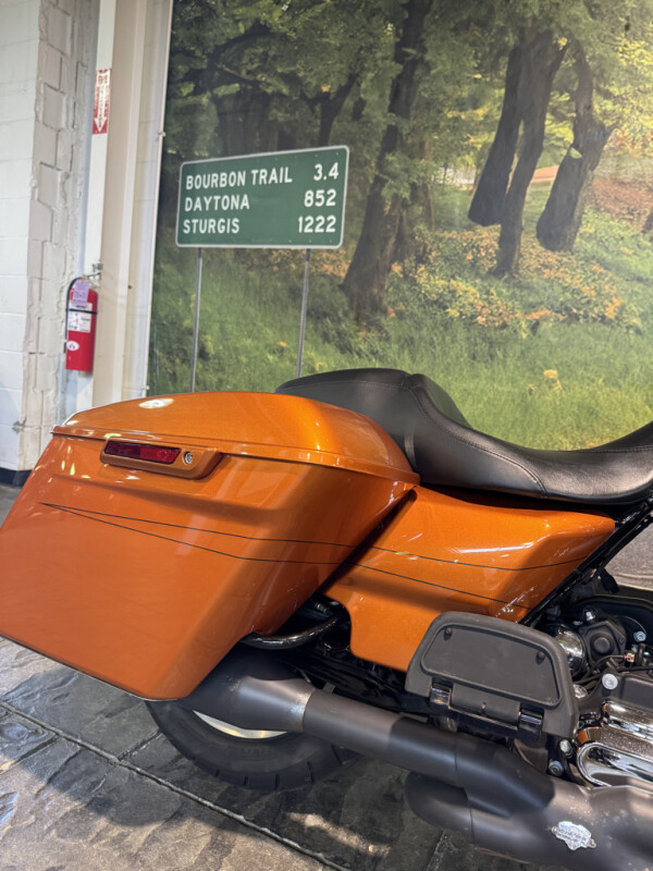 2015 Harley-Davidson Road Glide Special - Photo 6
