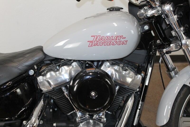 Harley-Davidson Softail Standard 2024 FXST 84493883 BILLIARD GRAY - Photo 9