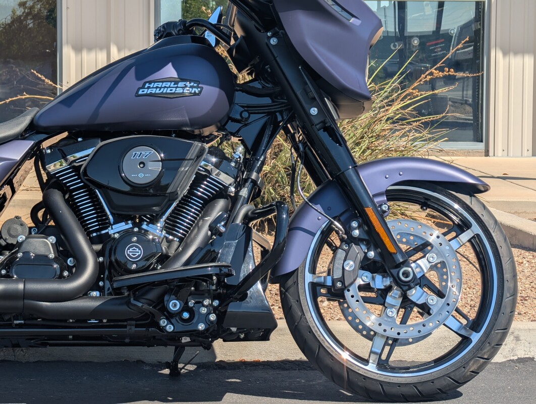 2025 Harley-Davidson Street Glide - Photo 10