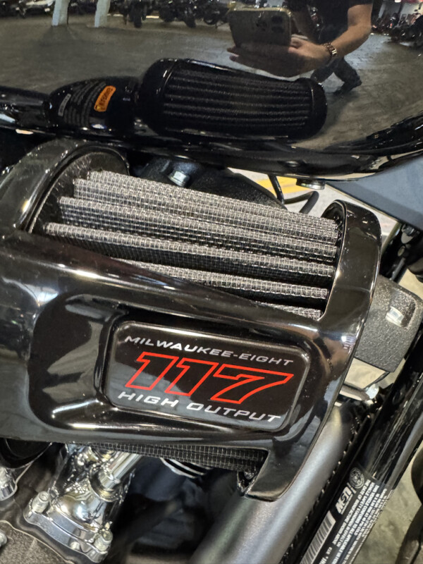 2025 Harley-Davidson Low Rider S - Photo 4