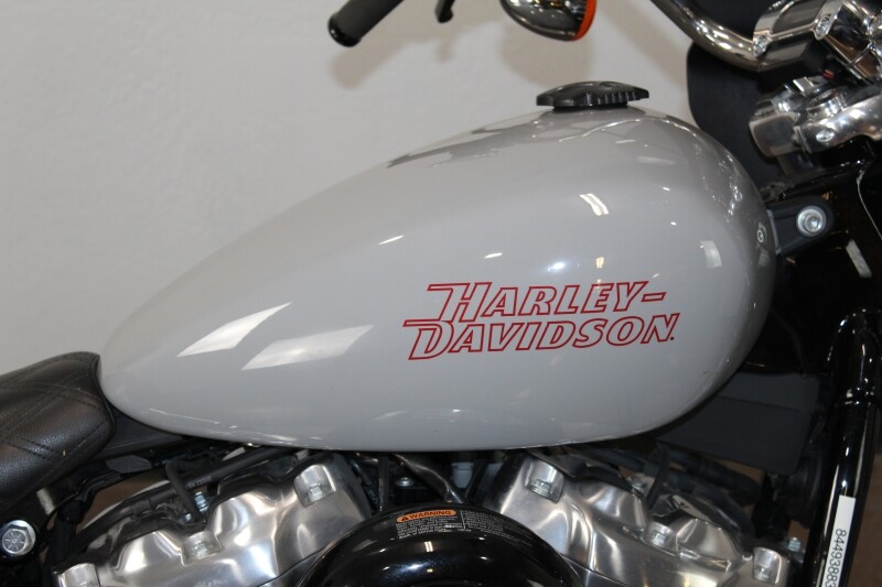 Harley-Davidson Softail Standard 2024 FXST 84493883 BILLIARD GRAY - Photo 10