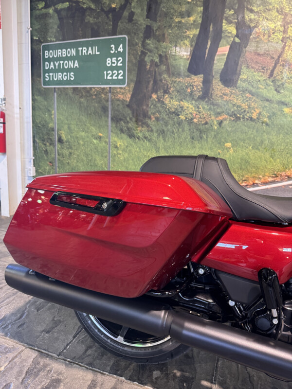 2025 Harley-Davidson Street Glide - Photo 6