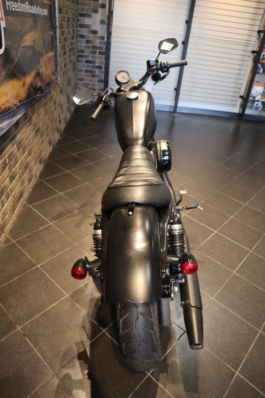 2022 Iron 883 (XL883N) - Photo 2