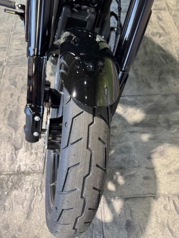 2025 Harley-Davidson Low Rider S - Photo 9