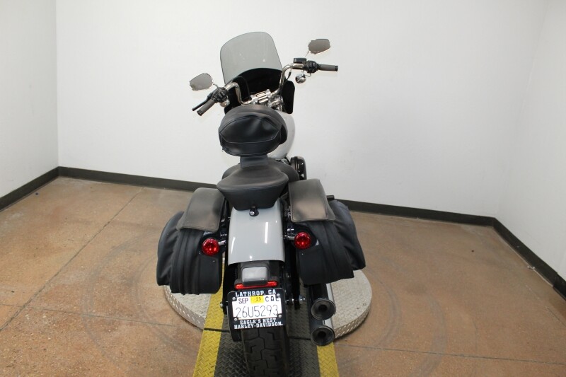Harley-Davidson Softail Standard 2024 FXST 84493883 BILLIARD GRAY - Photo 7