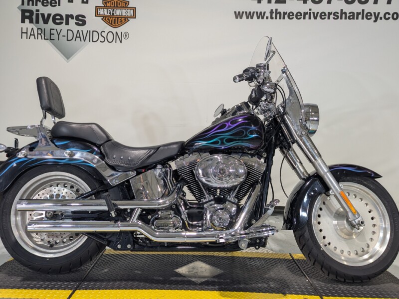 2007 Harley-Davidson® Fat Boy® BLACK CUSTOM MULLTI COLOR FLAMES