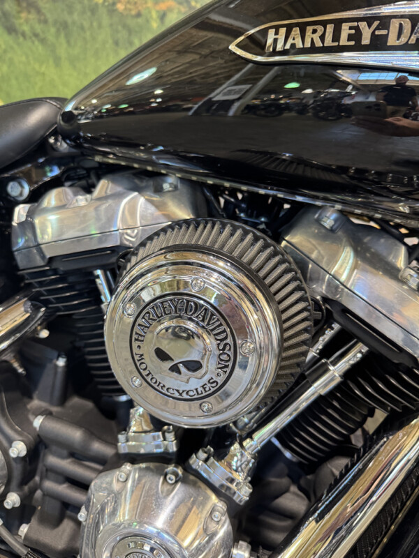 2018 Harley-Davidson Softail Slim - Photo 5