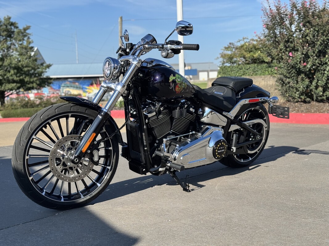 2025 Harley-Davidson Breakout FXBR RatFink Custom 1OF1 - Photo 8