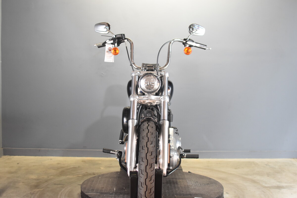 2021 Harley-Davidson Softail Standard FXST - Photo 5